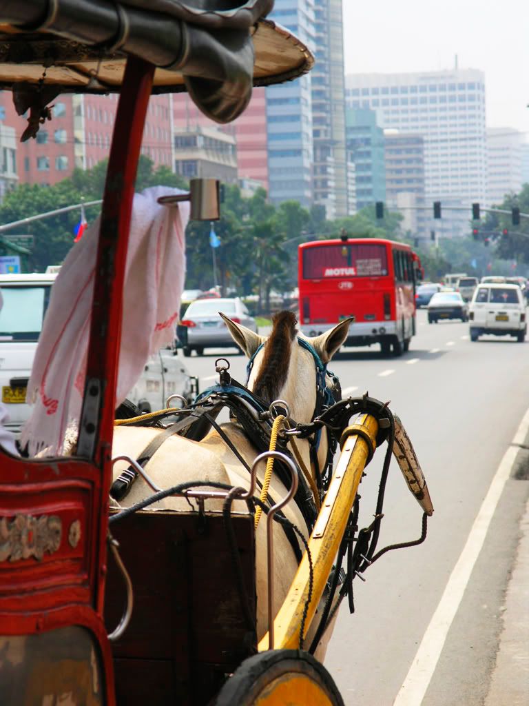 Local Transpo2 / Caritela 2