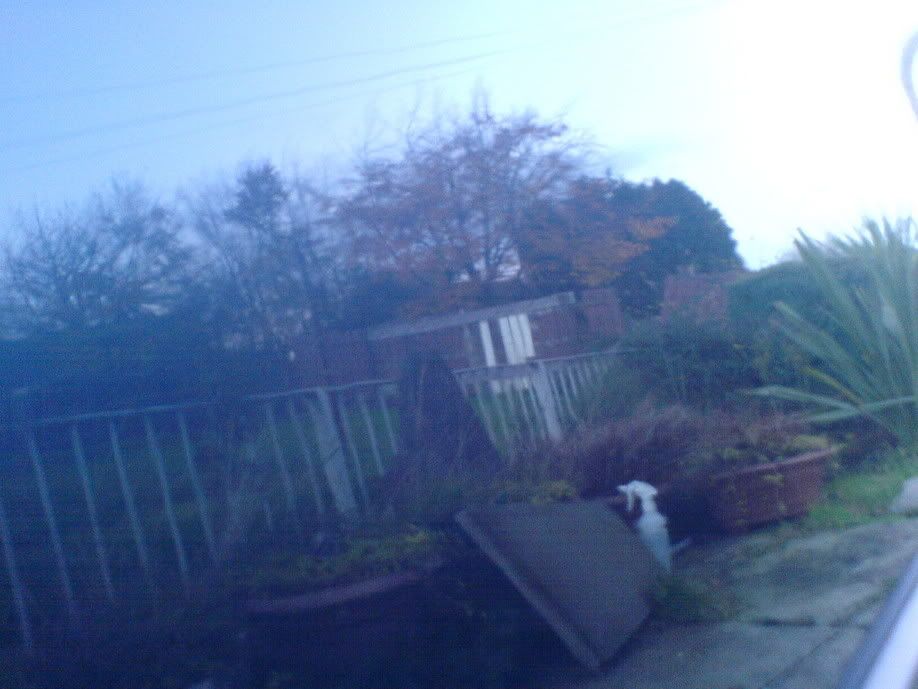 DSC00132.jpg
