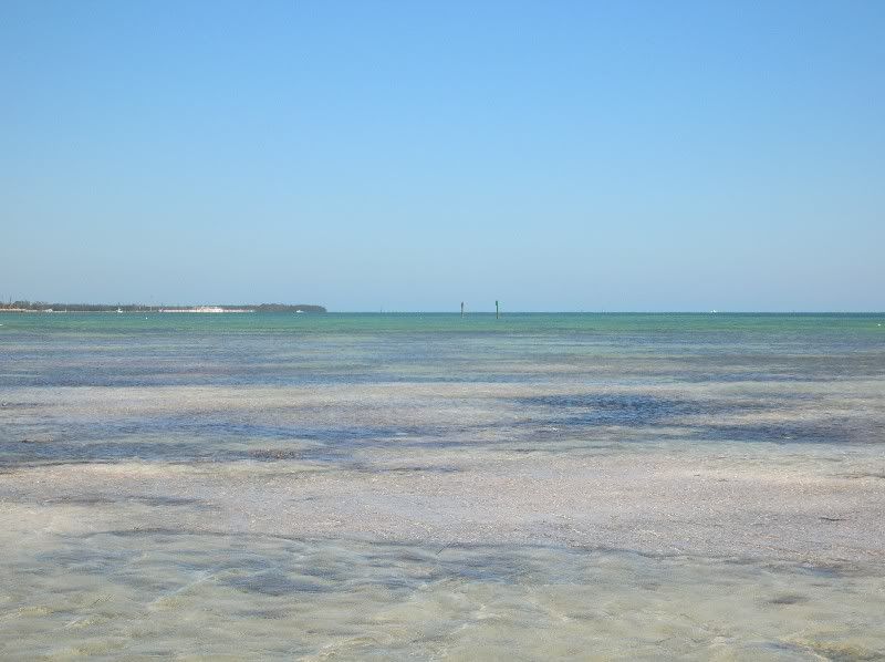 800DSCN3668.jpg