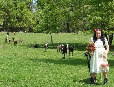 (pics) last pregnant *DOE* of the season - Goats