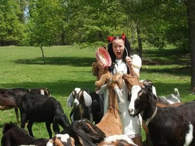 (pics) last pregnant *DOE* of the season - Goats