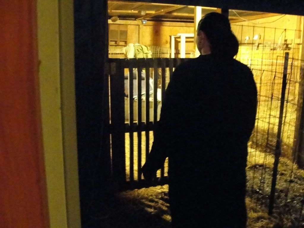 Ages Ago Acres 2012 kidding tales... - Goats