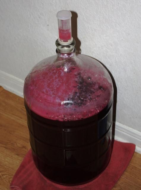 Mustang grape wine recipe