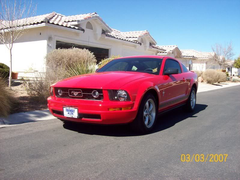 Stang07.jpg