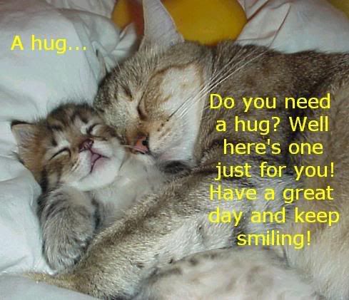 image: cat_hug