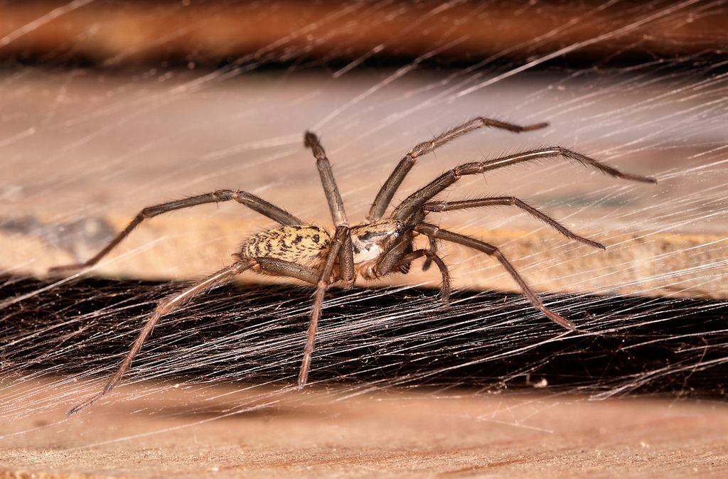 IMAGE: http://img.photobucket.com/albums/v673/ramon-uk/IMG_8560%20s_zpsrqbzi4oz.jpg