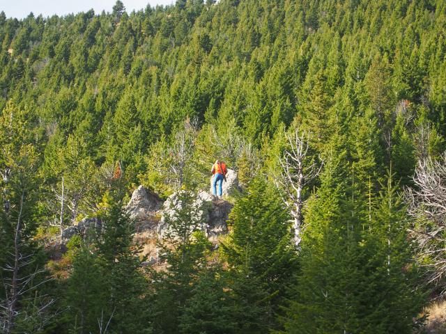 10 Day Elk Bear Mountain Mulie Hunt.. - 24hourcampfire