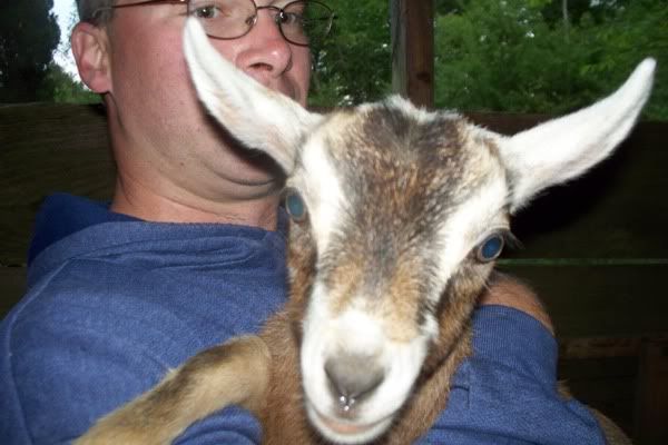 Identify Goat Please - Goats