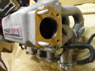 SDC10836.jpg