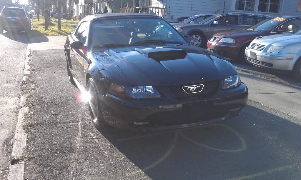 http://img.photobucket.com/albums/v674/justin9212/2000%20Ford%20Mustang%20GT%20139K/IMAG1485.jpg