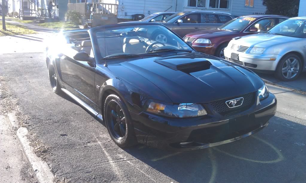 http://img.photobucket.com/albums/v674/justin9212/2000%20Ford%20Mustang%20GT%20139K/IMAG1496.jpg