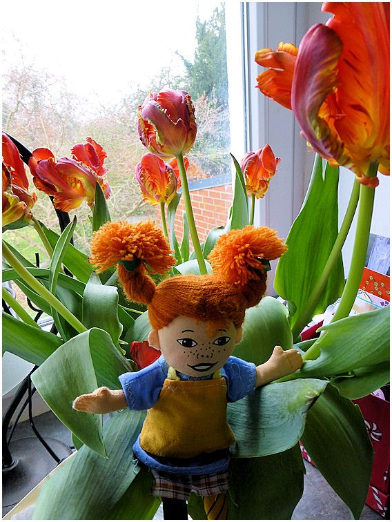 http://img.photobucket.com/albums/v675/Buckelchen/ToyVoyager/tulips_zps78ec5468.jpg?t=1367306059