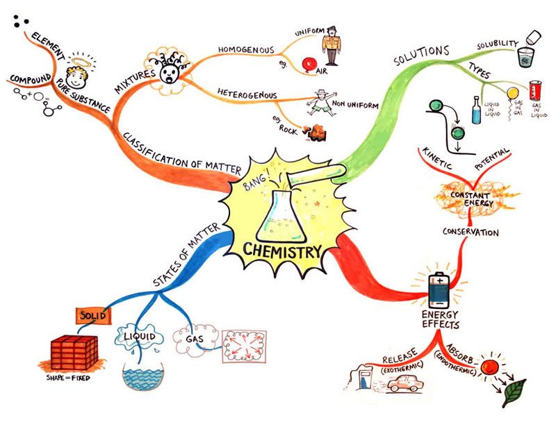 Thermoregulation Diagram