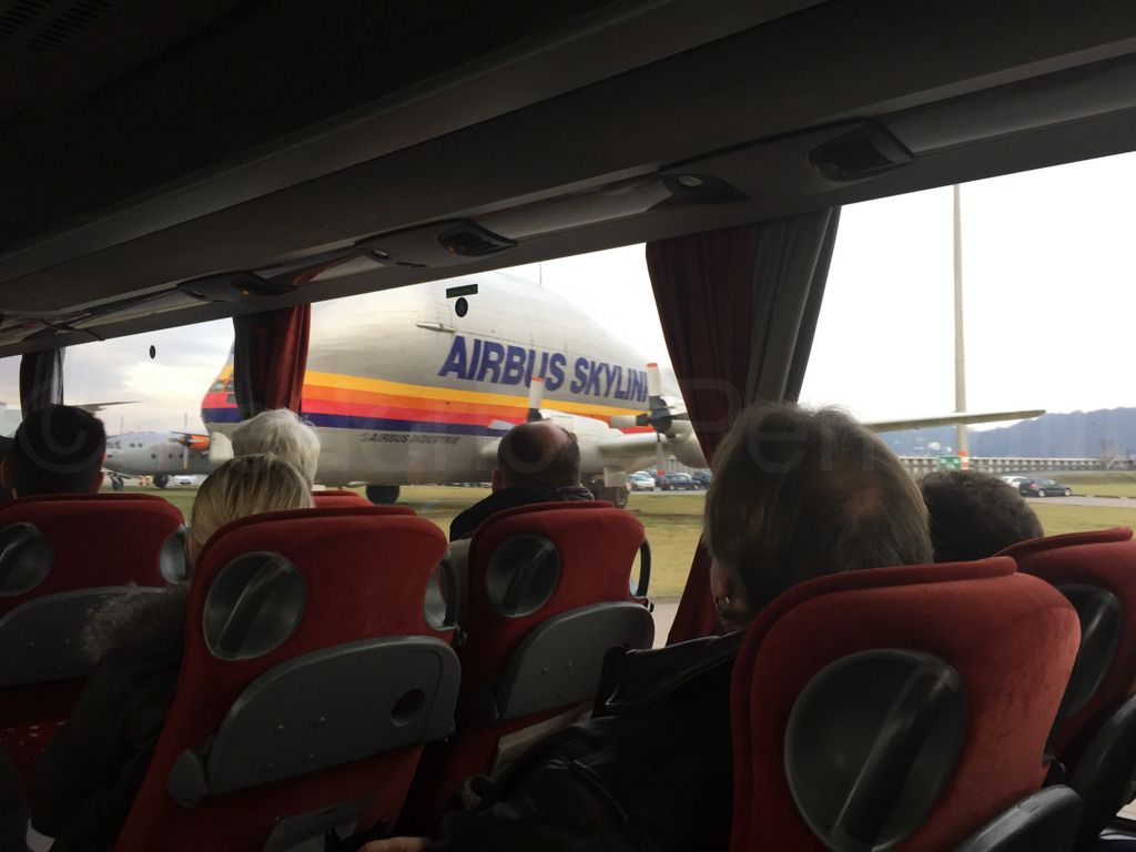 320NEO_006.jpg