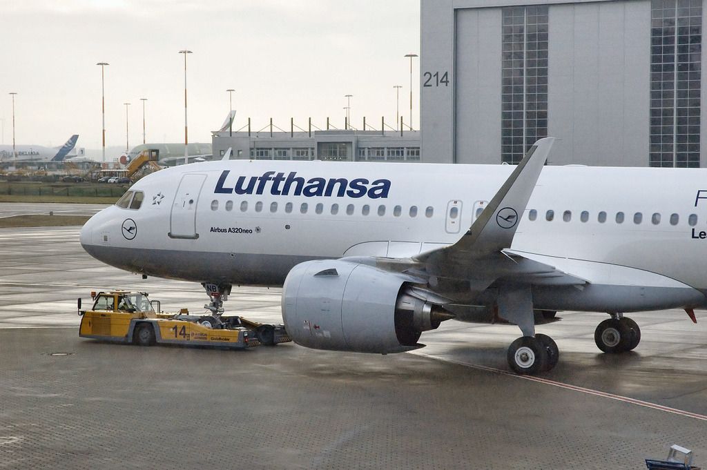 320NEO_009_closeup.jpg