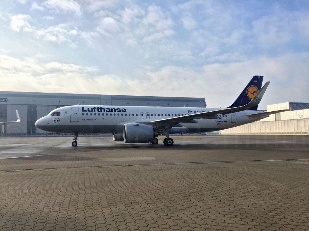 320NEO_013bis.jpg