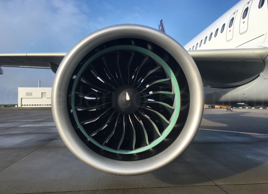 320NEO_014_closeup.jpg