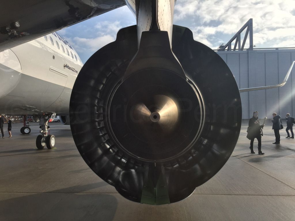 320NEO_016.jpg