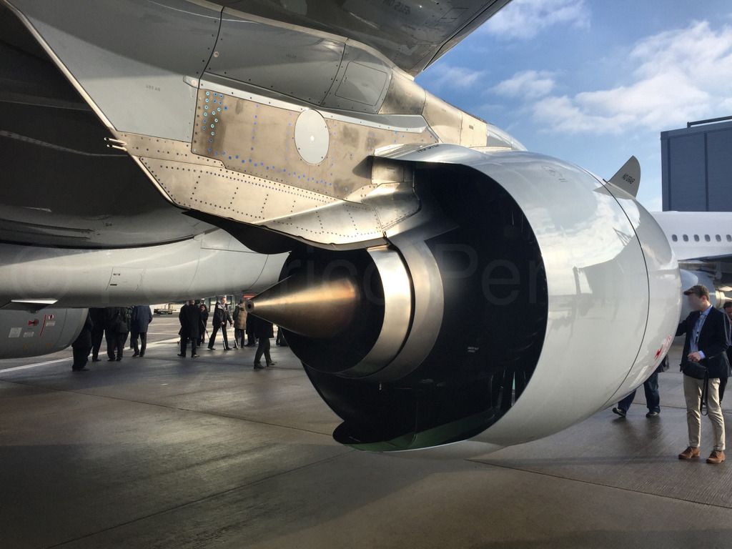 320NEO_017.jpg