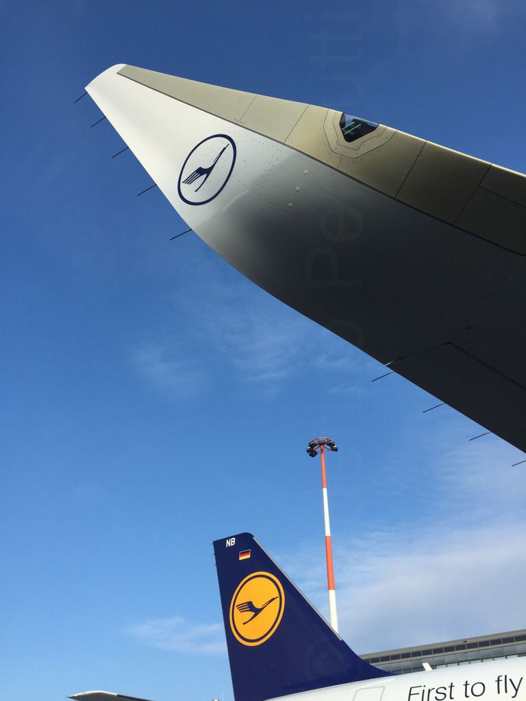 320NEO_018.jpg