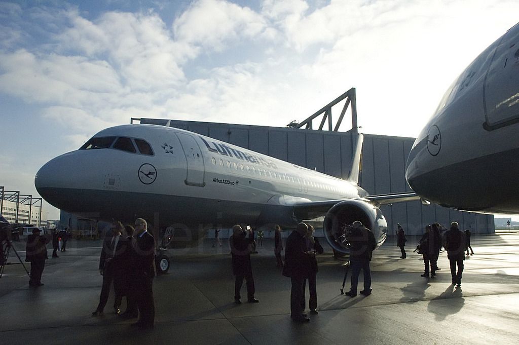 320NEO_020.jpg