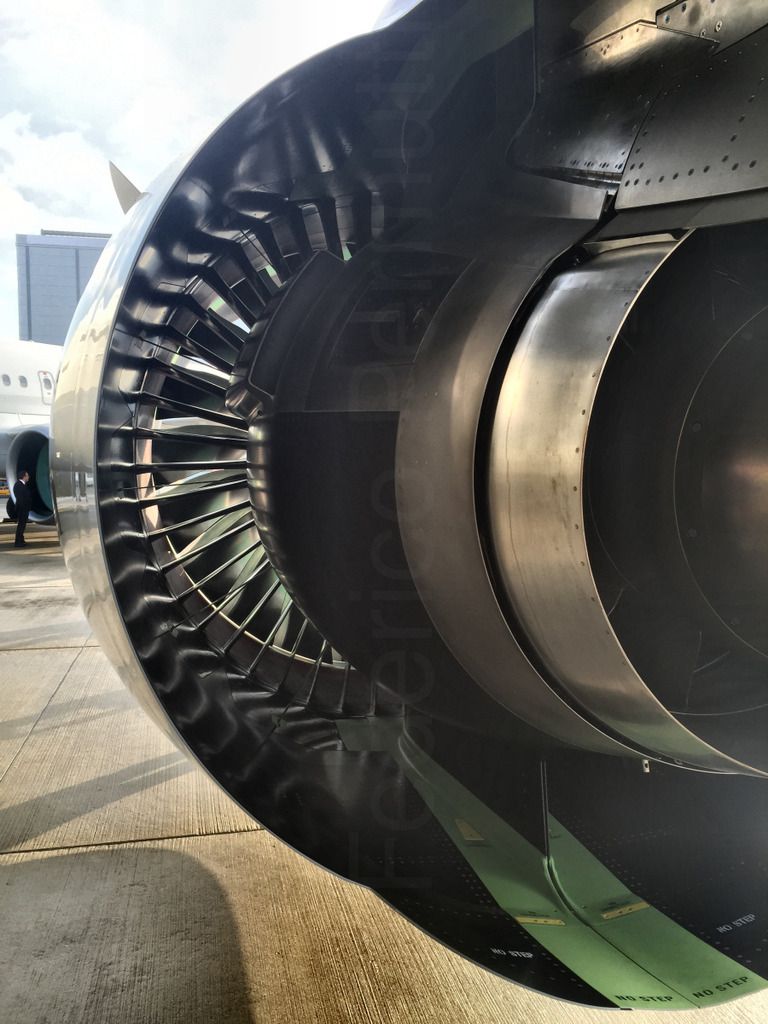 320NEO_022.jpg