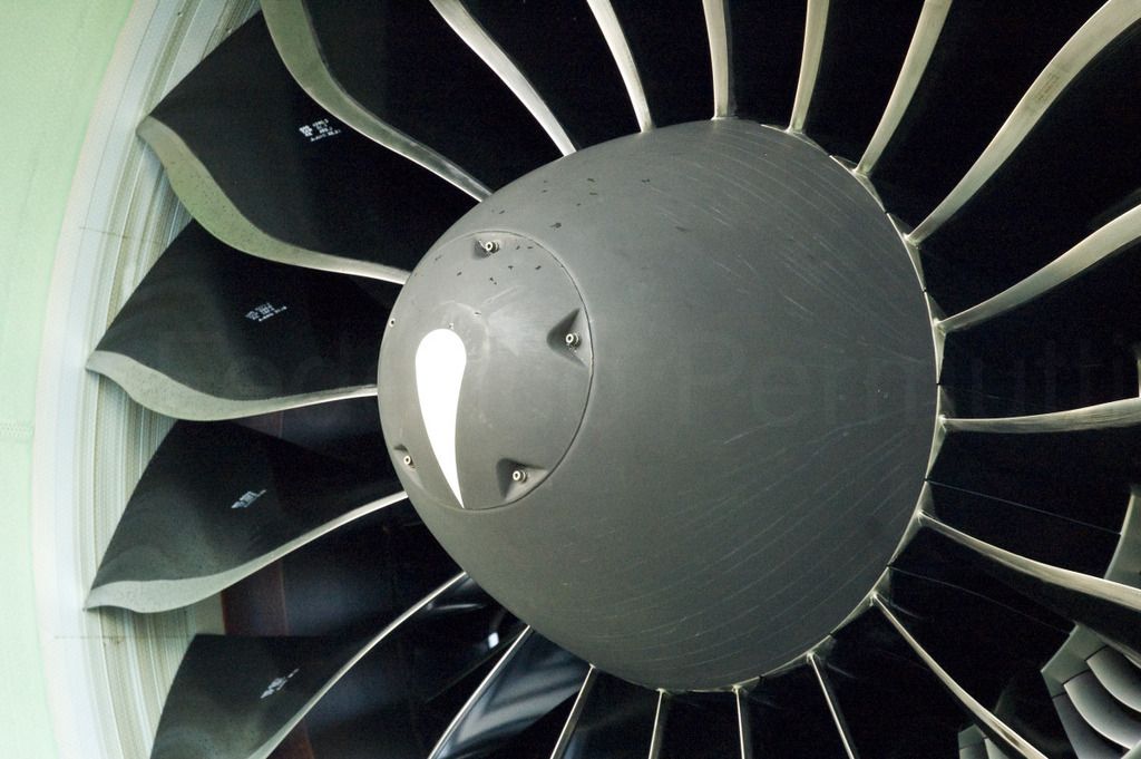 320NEO_023.jpg