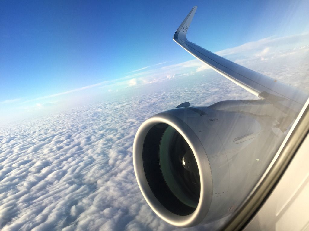 320NEO_057.jpg