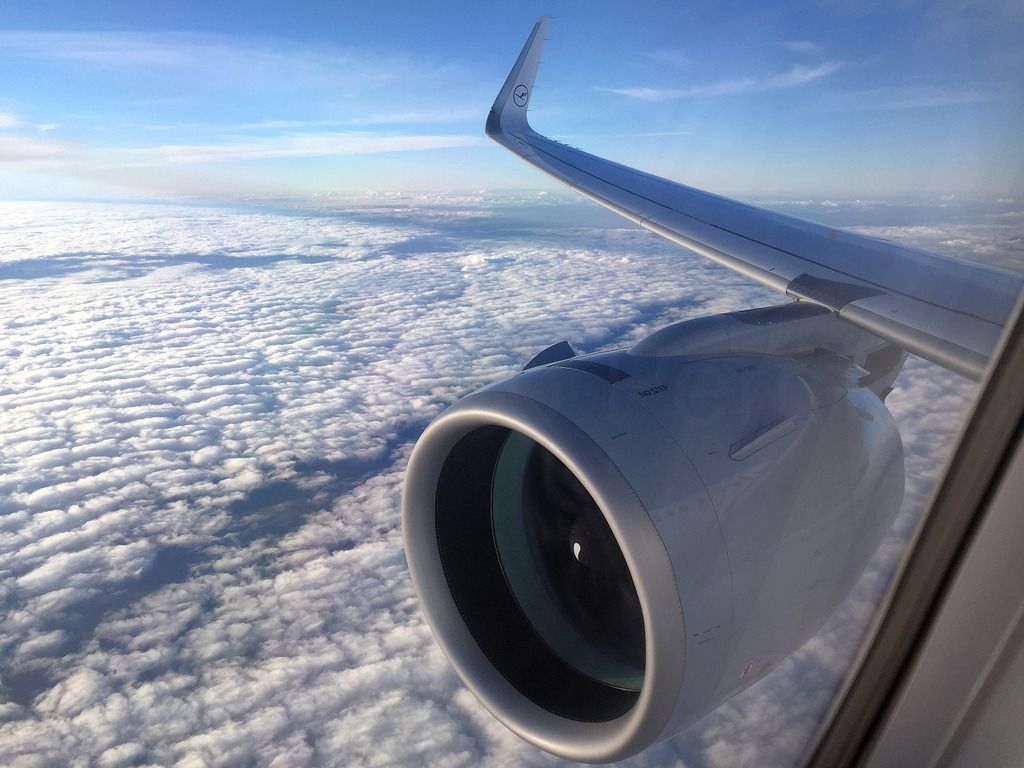 320NEO_059.jpg
