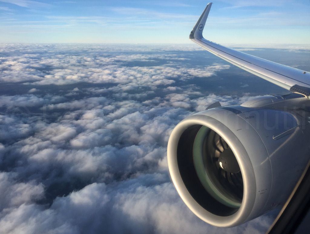 320NEO_060.jpg