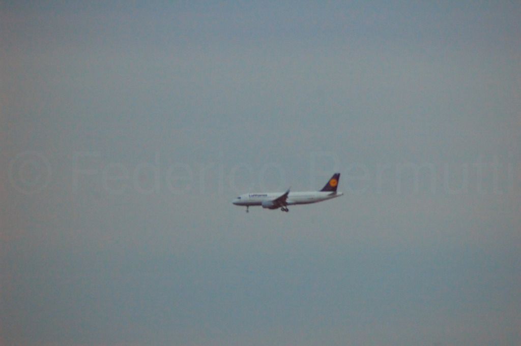 320NEO_060_bis.jpg