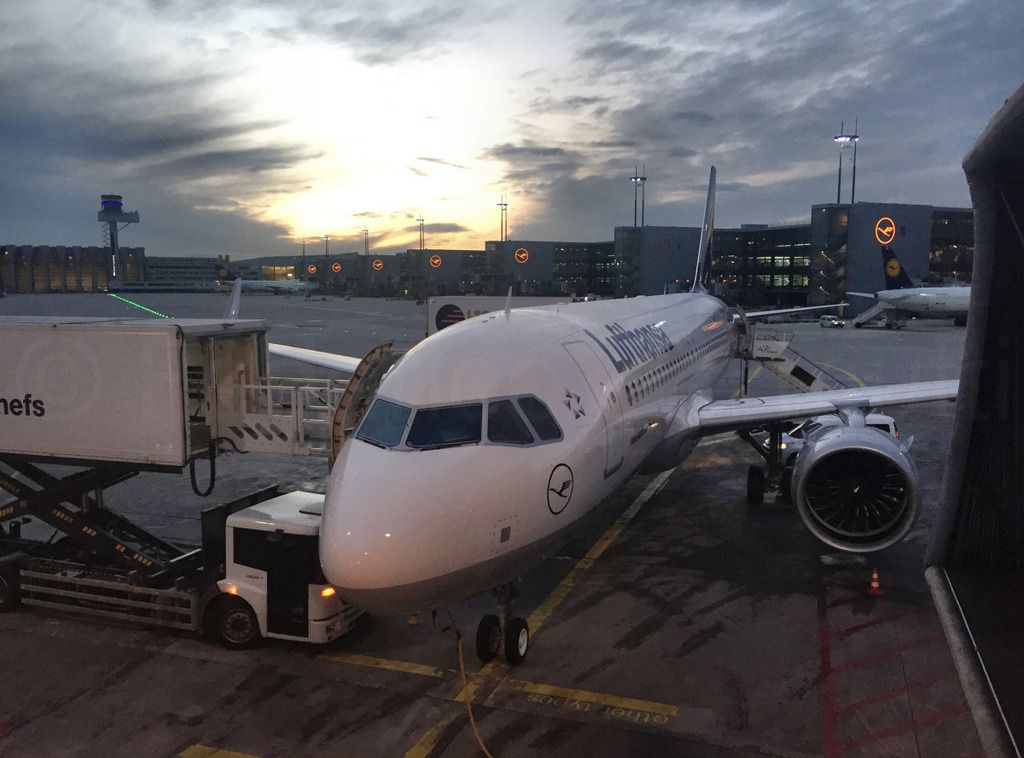 320NEO_065.jpg