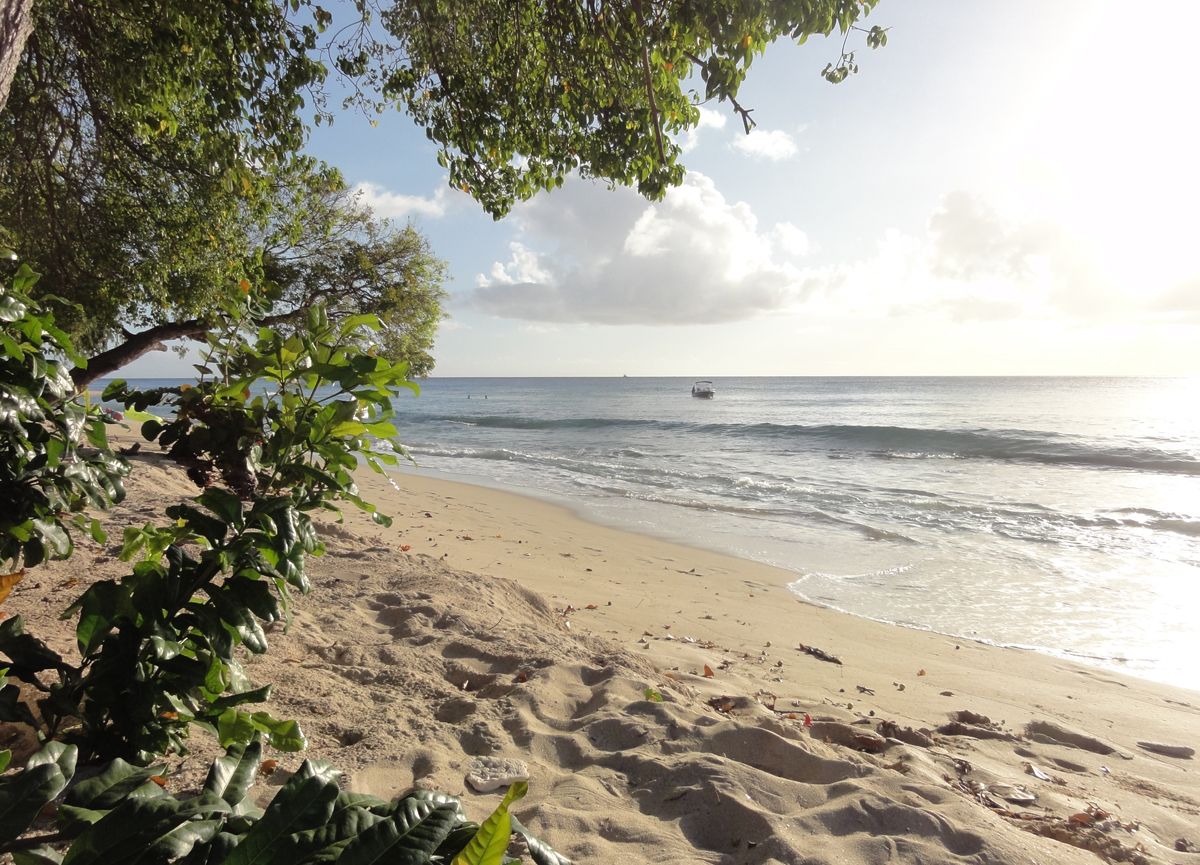 Barbados0071.jpg
