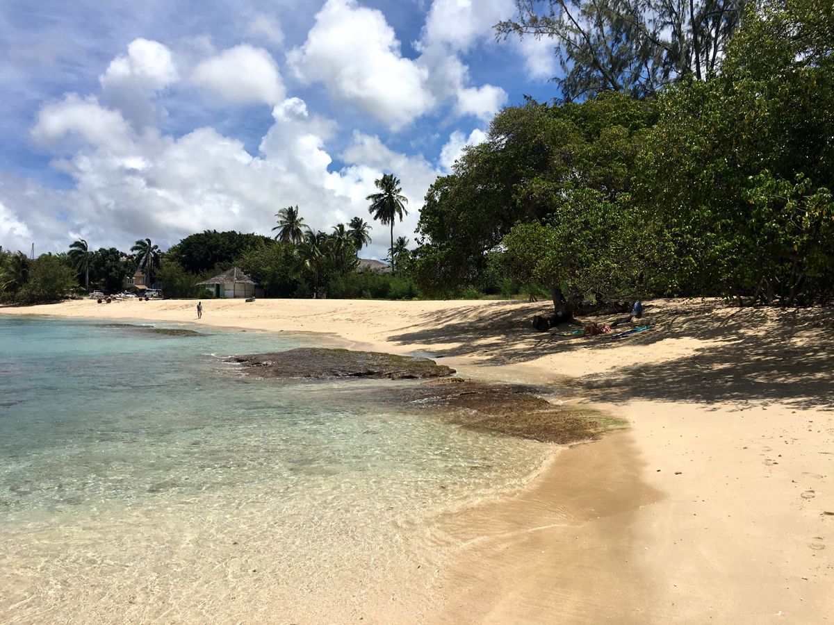 Barbados0071a.jpg