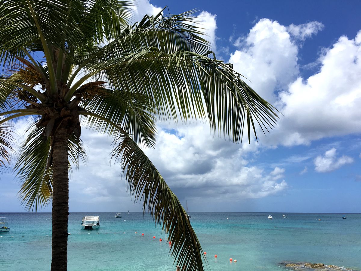 Barbados0072.jpg