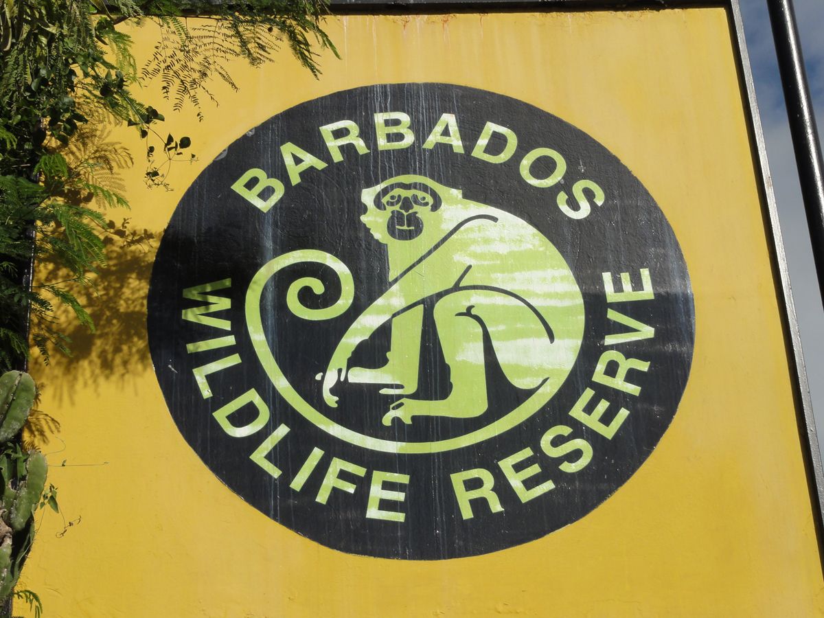 Barbados0092.jpg