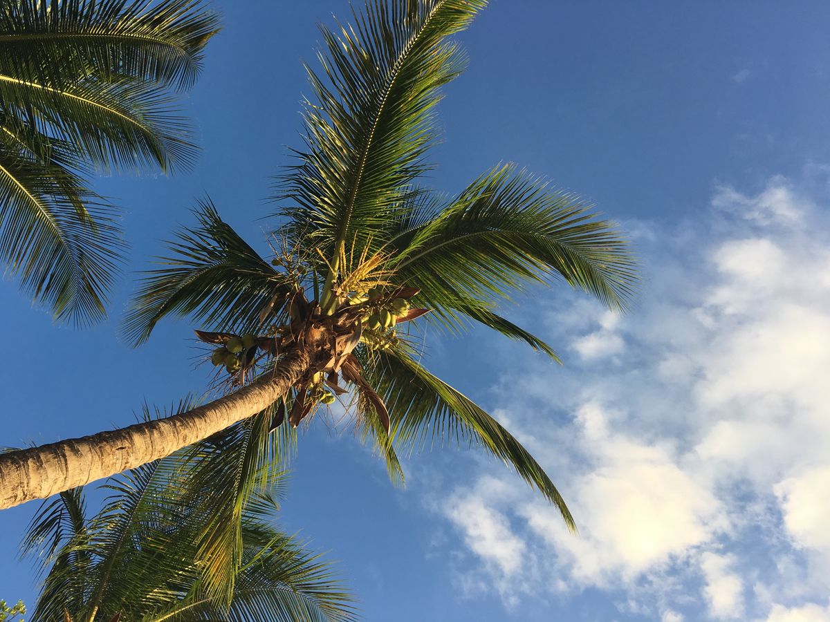Barbados0098.jpg