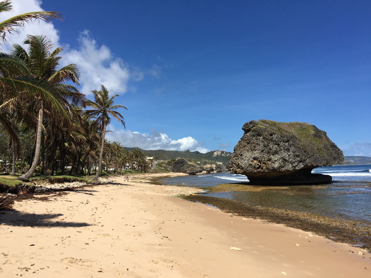 Barbados0108.jpg