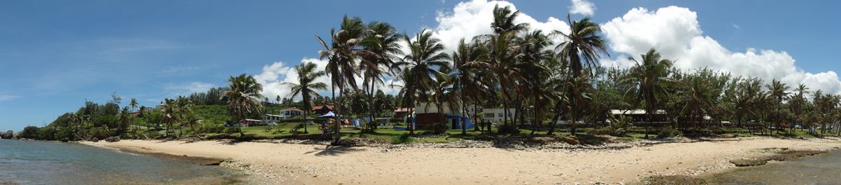 Barbados0116g.jpg
