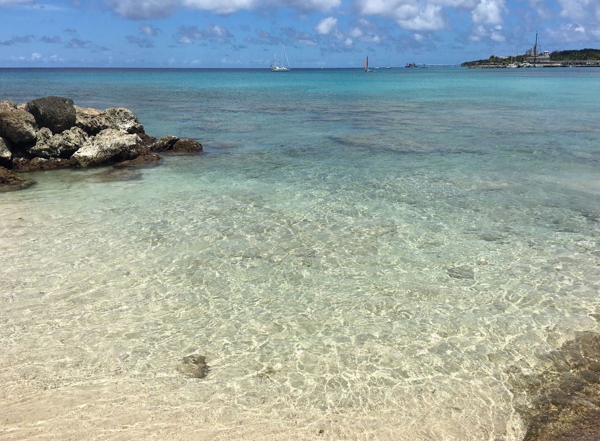 Barbados0127.jpg