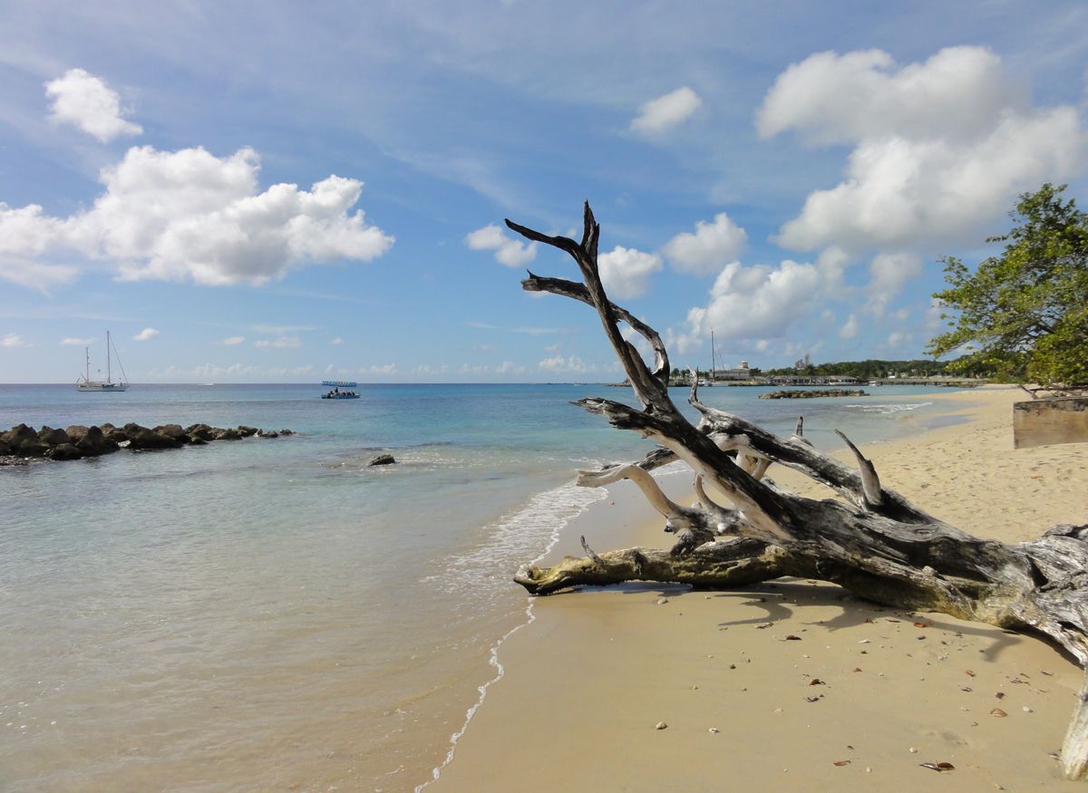 Barbados0128a.jpg