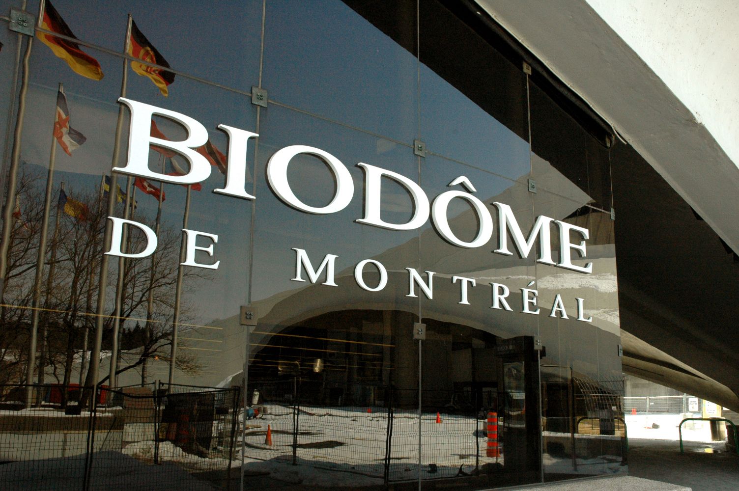 Montreal010.jpg