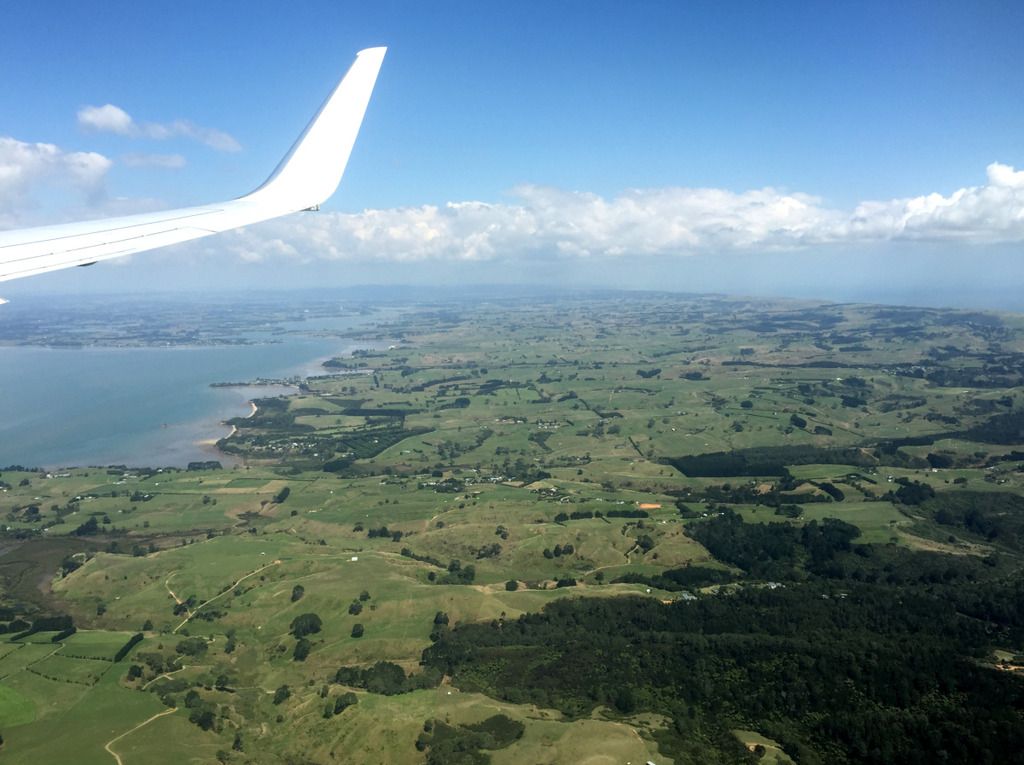 trnz037.jpg