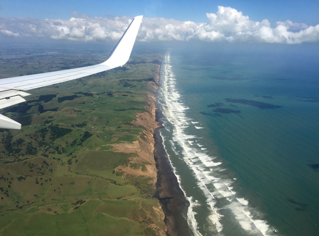 trnz038.jpg