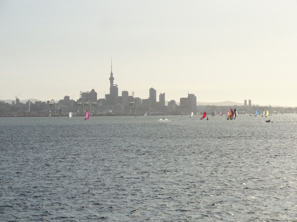 trnz051.jpg