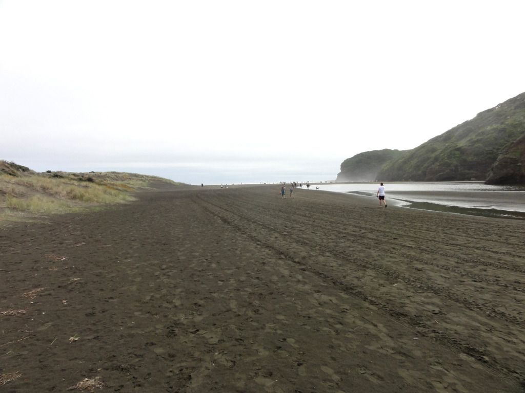trnz064.jpg