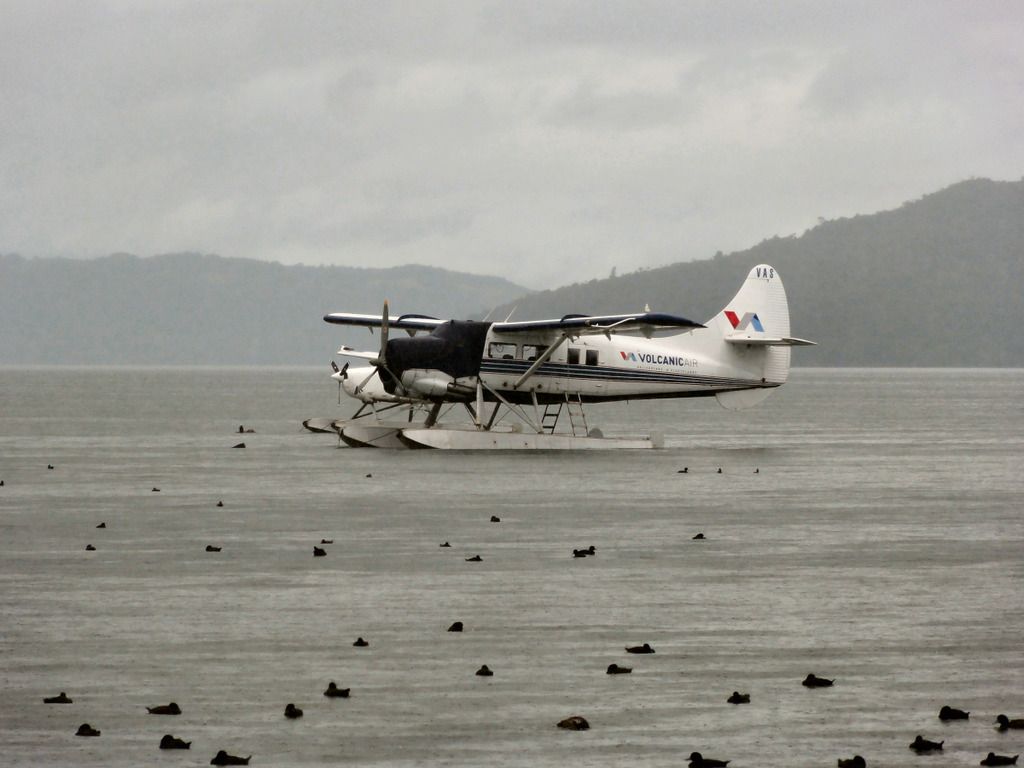 trnz069.jpg