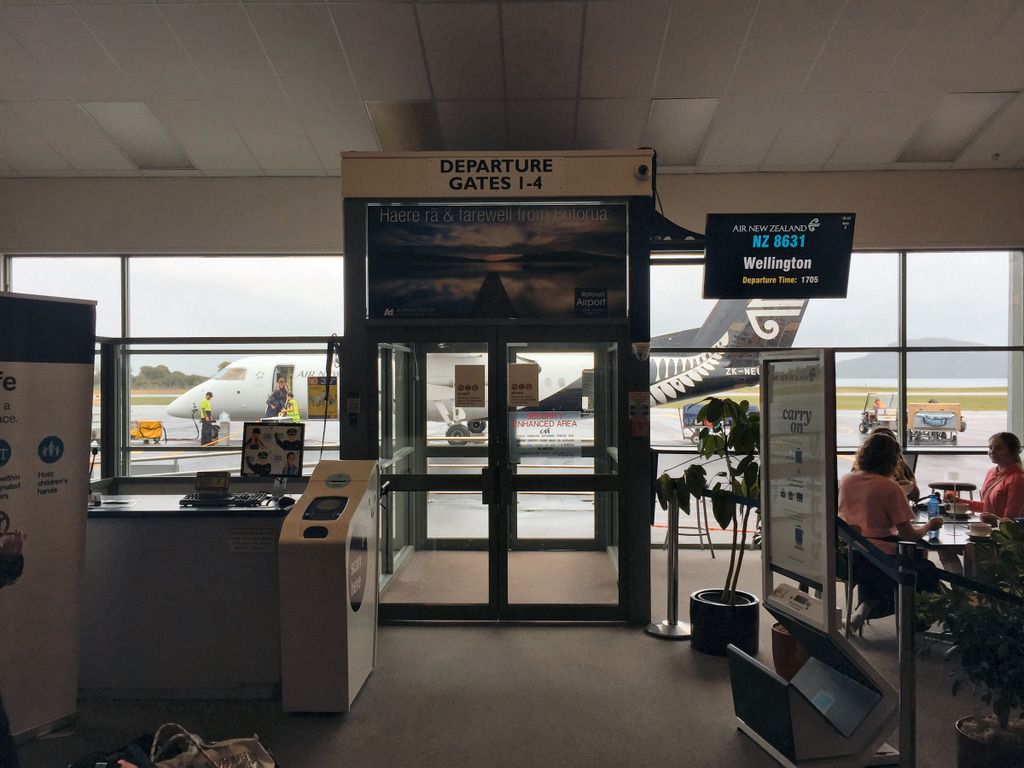 trnz087.jpg