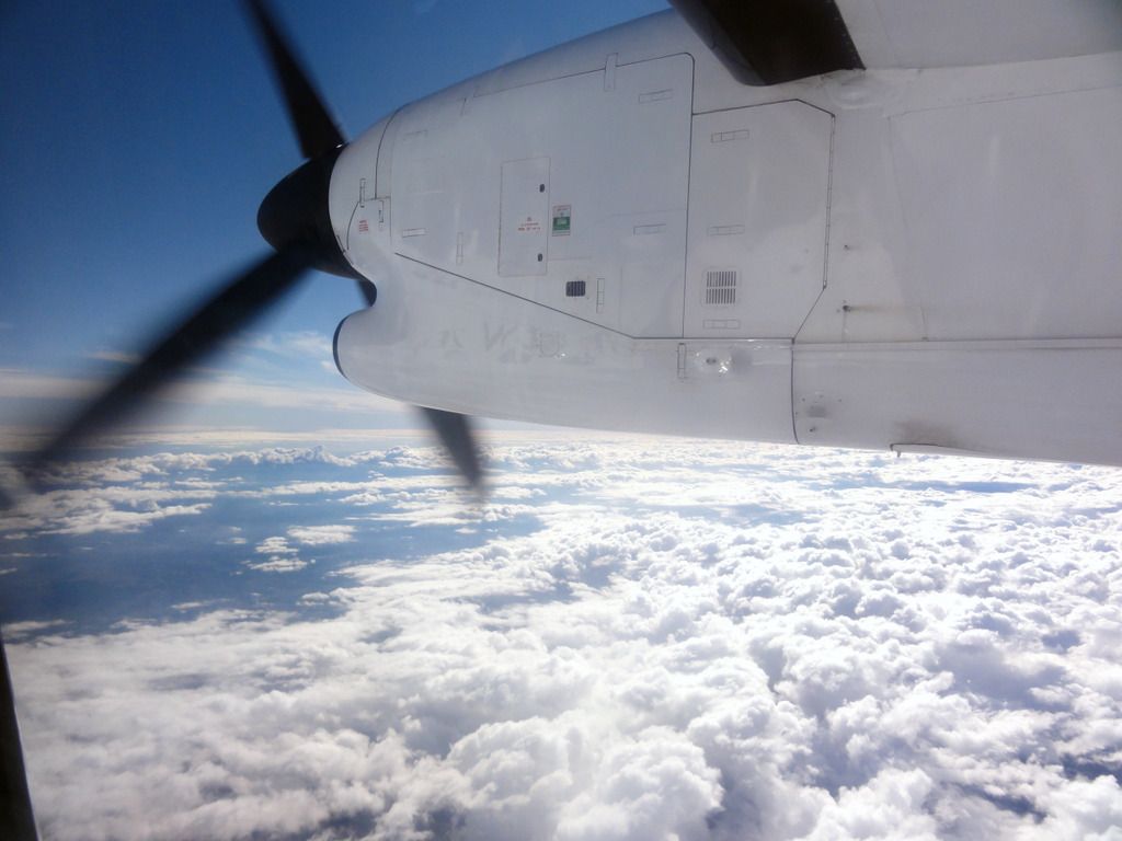 trnz093.jpg