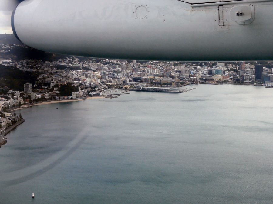 trnz097.jpg